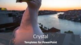  Presentation with seagull - PPT layouts featuring seagull is sitting on the background of the porto at night time portugal background and a gray colored foreground