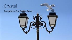  Presentation with seagull - Colorful PPT layouts enhanced with seagull landing on an old street lantern blue sky backdrop and a light blue colored foreground