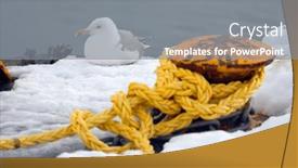  Presentation with seagull - Presentation having seagull-on-a-pier background and a gray colored foreground