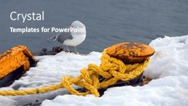  Presentation with seagull - PPT theme featuring seagull-on-a-pier background and a gray colored foreground