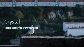  Presentation with seagull - Slides with seagull-sits-on-a-wall background and a wine colored foreground