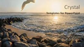  Presentation with sunset beach - Presentation having seagull-soaring-through-the-sky background and a lemonade colored foreground