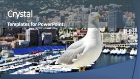  Presentation with seagull - Cool new PPT layouts with seagull with the port hercules backdrop and a ocean colored foreground
