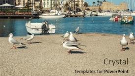  Presentation with fishing boats - Amazing presentation design having seagulls-against-old-fishing-boats backdrop and a coral colored foreground