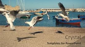  Presentation with fishing boats - Cool new slide set with seagulls-against-old-fishing-boats backdrop and a coral colored foreground