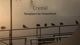  Presentation with danube - PPT theme having seagulls-at-the-danube-river background and a coral colored foreground