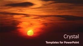  Presentation with fly - Beautiful theme featuring seagulls fly off into the amazing sunset backdrop and a wine colored foreground