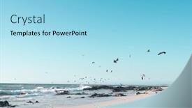  Presentation with clear water - Presentation with seagulls-flying-over-sandy-beach background and a light blue colored foreground