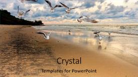  Presentation with eating - PPT theme consisting of seagulls flying over the beach background and a coral colored foreground