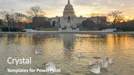  Presentation with capitol - Theme featuring seagulls in front of the capitol building during sunrise - washington dc usa background and a coral colored foreground