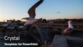  Presentation with fireworks on bridge - Colorful PPT layouts enhanced with seagulls-on-the-background backdrop and a wine colored foreground