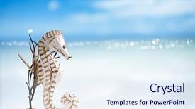  Presentation with ocean seahorse - Slides featuring ocean sky and seascapee shallow background and a sky blue colored foreground