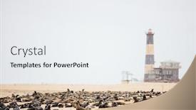  Presentation with coast - Cool new PPT theme with seal colony at pelican point coast at walvis bay in namibia backdrop and a sky blue colored foreground