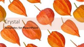  Presentation with bright - Slide set featuring seamless-background-from-bright-orange background and a  colored foreground