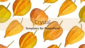  Presentation with bright - Slide deck having seamless-background-from-bright-orange background and a  colored foreground