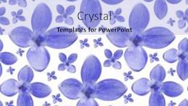  Presentation with lilac flower - Theme with seamless background from lilac flower blooms background and a light blue colored foreground