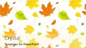  Presentation with barberry - Cool new slide set with seamless background with flying autumn leaves of a birch maple and barberry isolated on white background backdrop and a blonde colored foreground