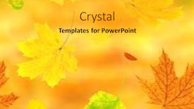  Presentation with barberry - PPT layouts having seamless background with flying autumn leaves of a birch maple and barberry on yellow background background and a light gray colored foreground