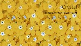  Presentation with forget - Audience pleasing PPT theme consisting of seamless-background-with-yellow-forget backdrop and a gold colored foreground