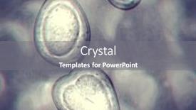  Presentation with white cells - PPT layouts featuring seamless-cells-or-bacteria-background background and a gray colored foreground