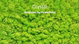  Presentation with moss - Slide deck having close up green moss texture background and a tawny brown colored foreground