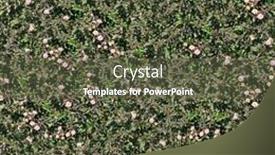  Presentation with green leaves - Cool new PPT theme with seamless-natural-green-leaves backdrop and a tawny brown colored foreground