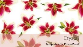  Presentation with bud - Beautiful PPT theme featuring seamless pattern with lily flowers and green bud hand drawn background floral wallpaper backdrop and a coral colored foreground