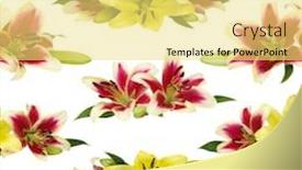  Presentation with bud - Presentation theme consisting of seamless pattern with lily flowers background and a yellow colored foreground