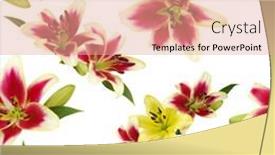  Presentation with bud - Presentation design consisting of seamless pattern with lily flowers background and a coral colored foreground