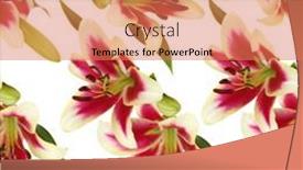  Presentation with bud - Slide deck having seamless pattern with lily flowers and green bud hand drawn background floral wallpaper background and a coral colored foreground