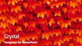  Presentation with maple - Theme consisting of seamless red autumnal maple leafs background background and a crimson colored foreground