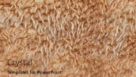  Presentation with wool - PPT layouts with seamless-texture-of-wool-lambs background and a coral colored foreground