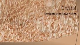  Presentation with wool - Slide deck featuring seamless-texture-of-wool-lambs background and a  colored foreground