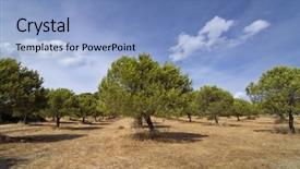  Presentation with greece blue - Beautiful presentation design featuring man is in office clothes with an age-old film backdrop and a light gray colored foreground