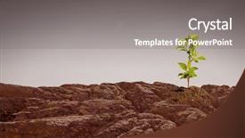  Presentation with moon - Audience pleasing theme consisting of search rescue - is there life on moon backdrop and a gray colored foreground