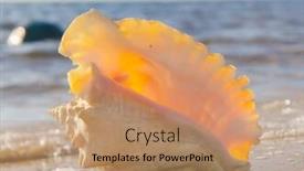  Presentation with divine - Amazing PPT theme having seascape divine exotic shore backdrop and a coral colored foreground