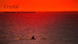  Presentation with sunset beach - Presentation theme with seascape-sunset-sea-waves background and a dark gray colored foreground