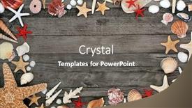  Presentation with rustic wood border - Beautiful PPT theme featuring seashell-abstract-background-border backdrop and a gray colored foreground