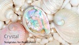  Presentation with pearl - Presentation design consisting of seashell-abstract-background-with-mother background and a soft green colored foreground