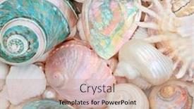  Presentation with pearl - Cool new PPT layouts with seashell-abstract-background-with-mother backdrop and a coral colored foreground
