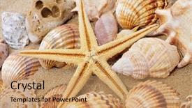  Presentation with seashell - Slides consisting of seashell-and-a-seastar background and a coral colored foreground