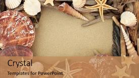  Presentation with seashell - Presentation theme featuring seashell and driftwood abstract background background and a coral colored foreground