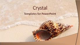  Presentation with seashell - Presentation theme with seashell and ocean wave on sandy tropical beach background and a lemonade colored foreground