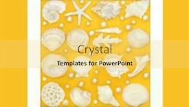  Presentation with pearl oyster - Presentation theme with seashell-and-oyster-pearl-decorative background and a yellow colored foreground