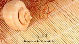  Presentation with seashell - Amazing theme having seashell and seaweed on straw backdrop and a lemonade colored foreground