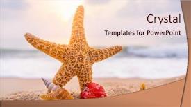  Presentation with tropical beach sunset - Audience pleasing slide deck consisting of seashell and starfish on seashore backdrop and a lemonade colored foreground