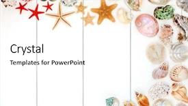  Presentation with rustic wood border - Presentation having seashell background border on rustic background and a white colored foreground