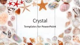  Presentation with rustic wood border - Theme having seashell background border on rustic background and a white colored foreground