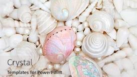  Presentation with seashell - Amazing slide set having seashell-background-with-pearls backdrop and a soft green colored foreground