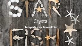  Presentation with seashell - PPT theme with seashell-driftwood-and-pebble-abstract background and a dark gray colored foreground